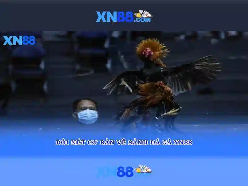 App XN88