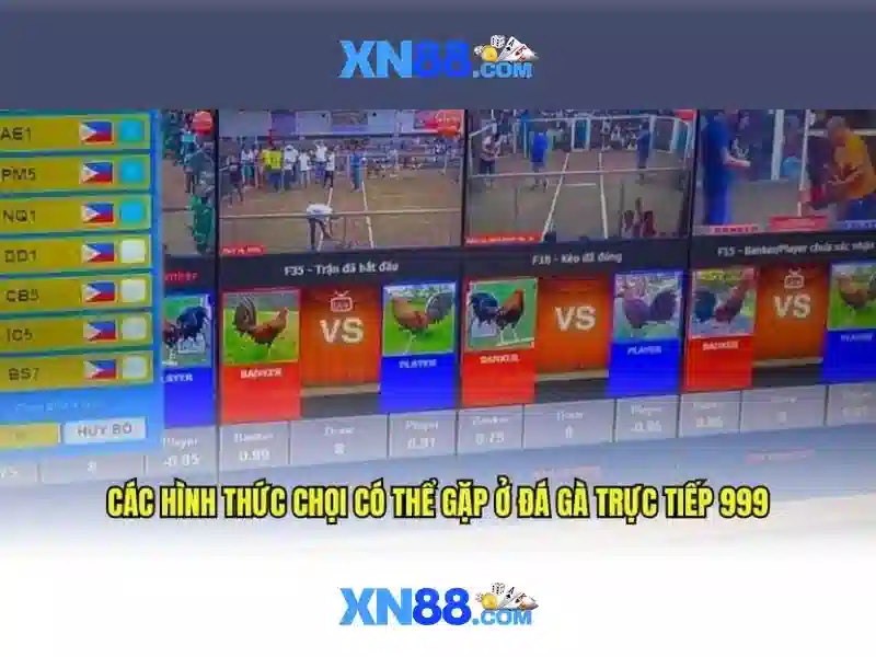 Quy Trình Xác Minh Tài Khoản XN88