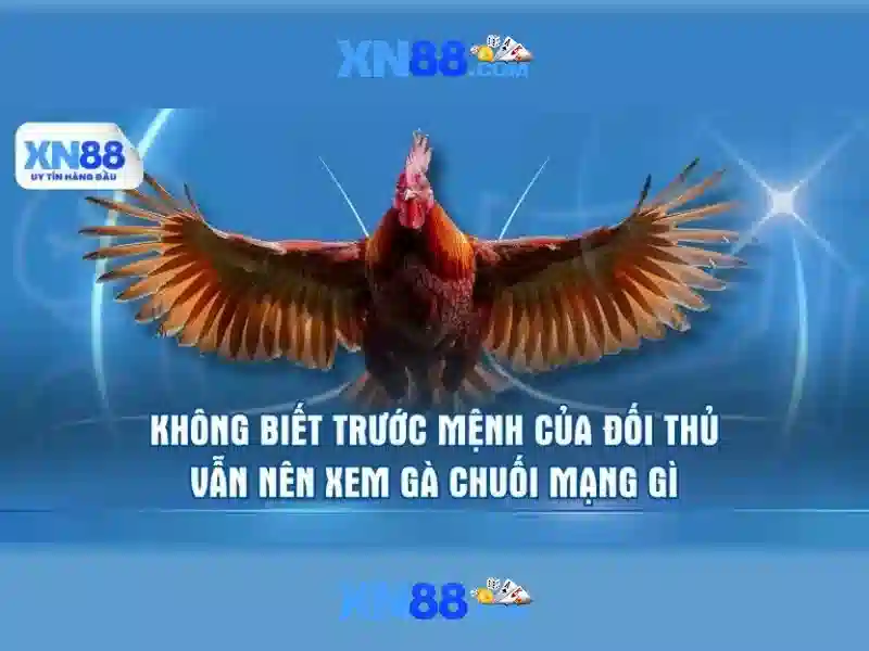 trải nghiệm cá cược XN88