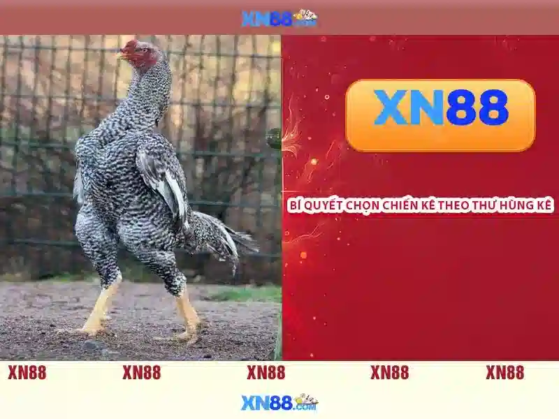 Chương trình khuyến mãi XN88 Win