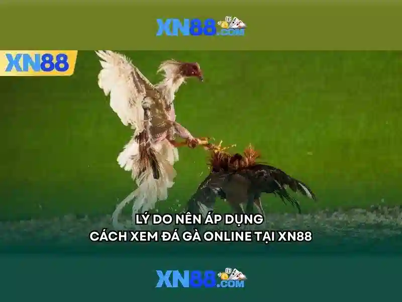 XN88 Slot