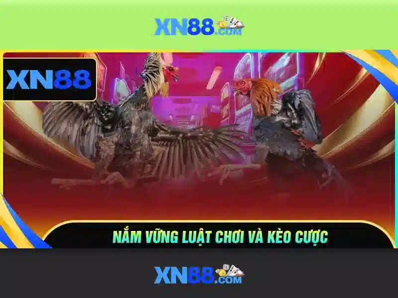Phản Hồi Từ Cộng Đồng Người Chơi