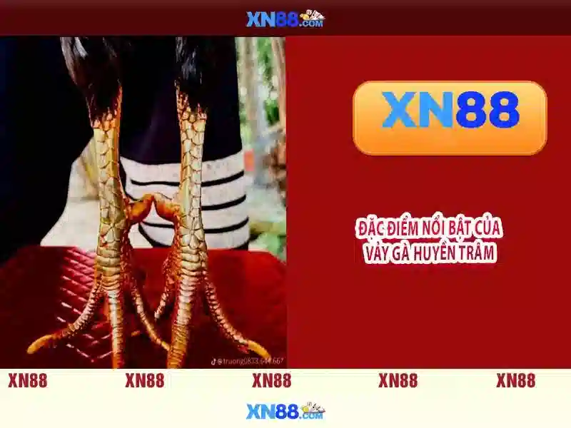 Tỷ Lệ Thưởng Đặc Biệt Cho Thành Viên XN88 BSHRF