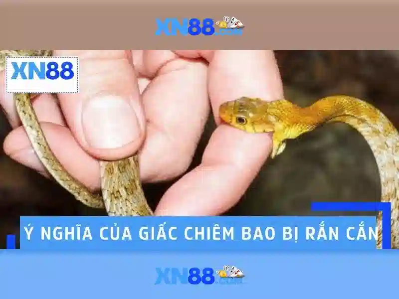 Giao diện đăng nhập XN88 hiện đại