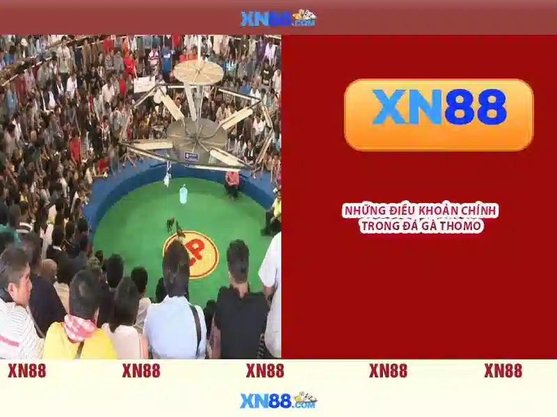 Xổ số điện toán