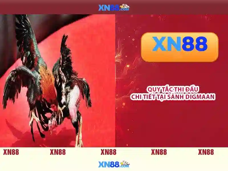 Tải app XN88 đơn giản chỉ trong vòng 1 nốt nhạc | XN88.promo