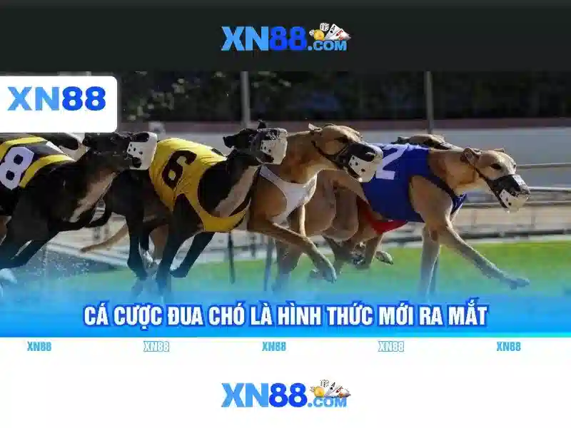 Trải Nghiệm Slot 3D