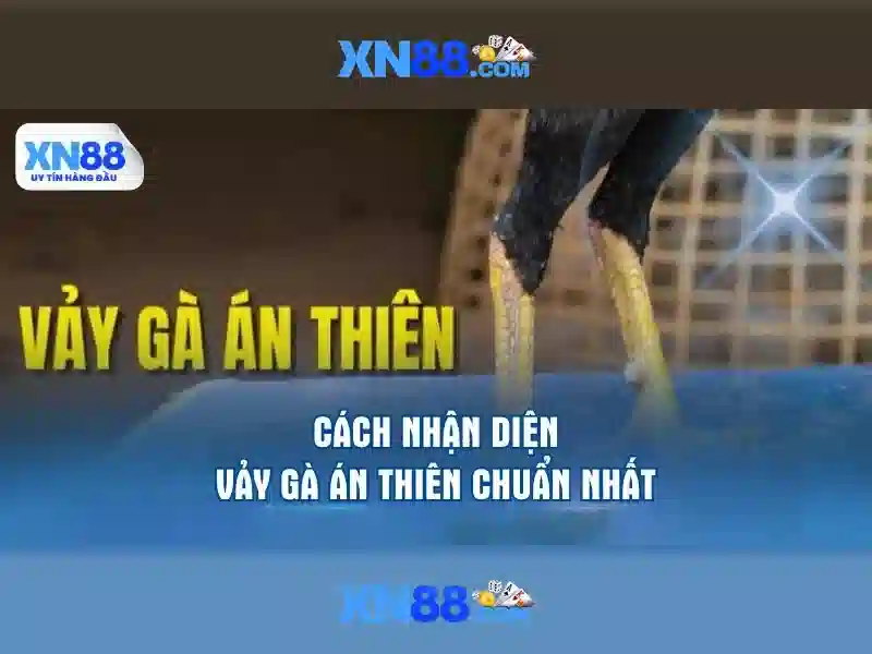 Hướng Dẫn Truy Cập XN88 Link