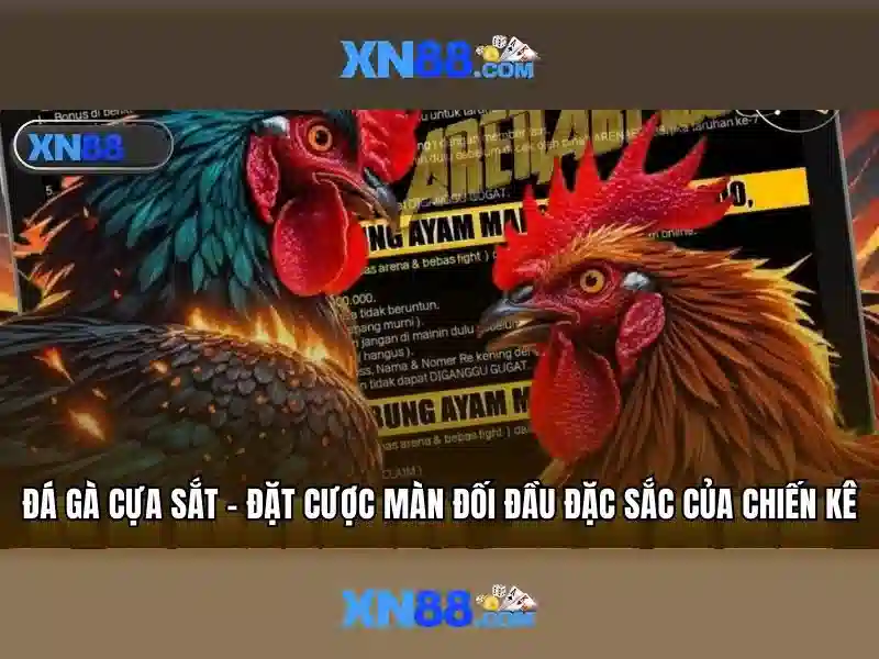 SLOT ĐA DẠNG – CHƠI NGAY TẠI XN88