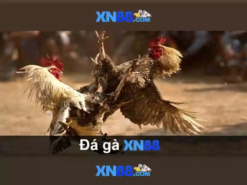 Đăng Nhập Slot XN88