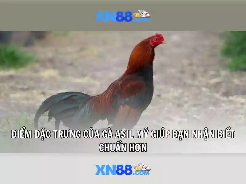 Hướng dẫn đăng ký xn88.com