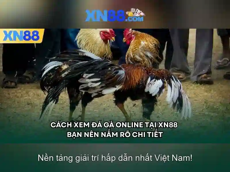 Trải nghiệm slot đỉnh cao