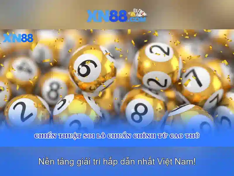 Điều Khoản Và Điều Kiện XN88