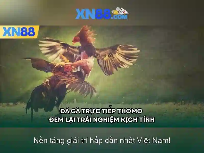 Trải Nghiệm Slot Đa Dạng 2026
