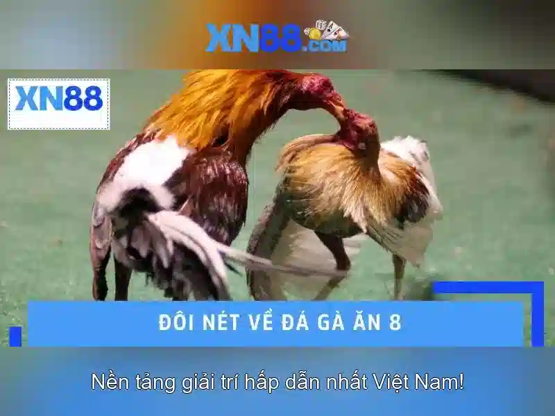 Tại Sao Nên Chọn XN88 Cho Trải Nghiệm Game Slot?