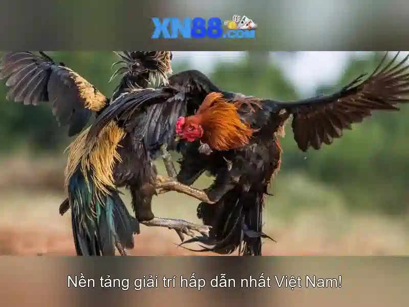 Cổng game slot XN88 App