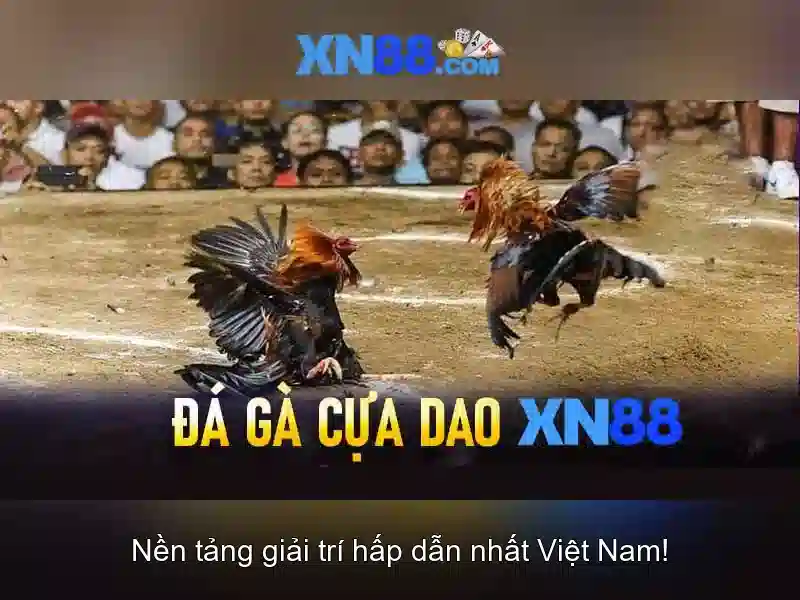 XN88 – Trải Nghiệm Slot Đỉnh Cao Với XN88 Win | Ưu Đãi 24/7