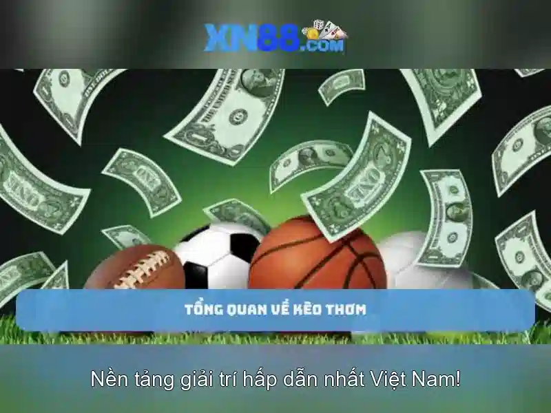 Tải XN88