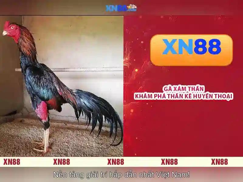Hướng Dẫn Đăng Ký XN88