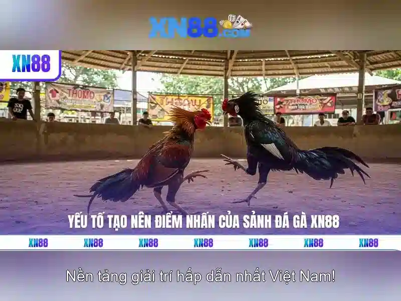 Trải nghiệm mượt mà