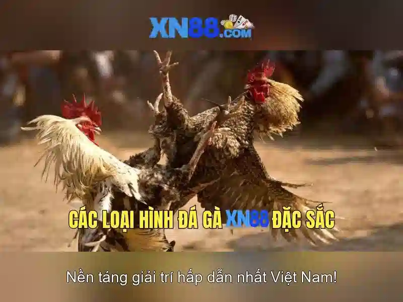 Trải nghiệm slot đỉnh cao