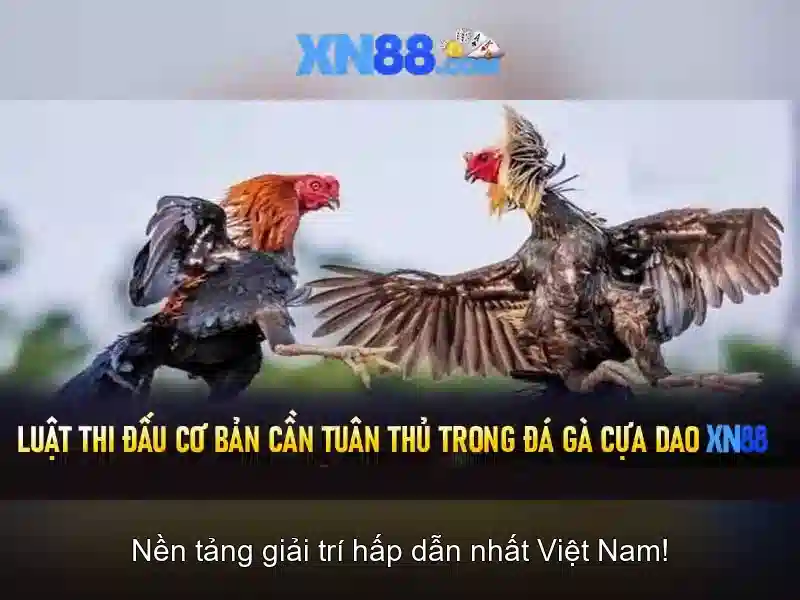 Trải Nghiệm Slot Tại XN88