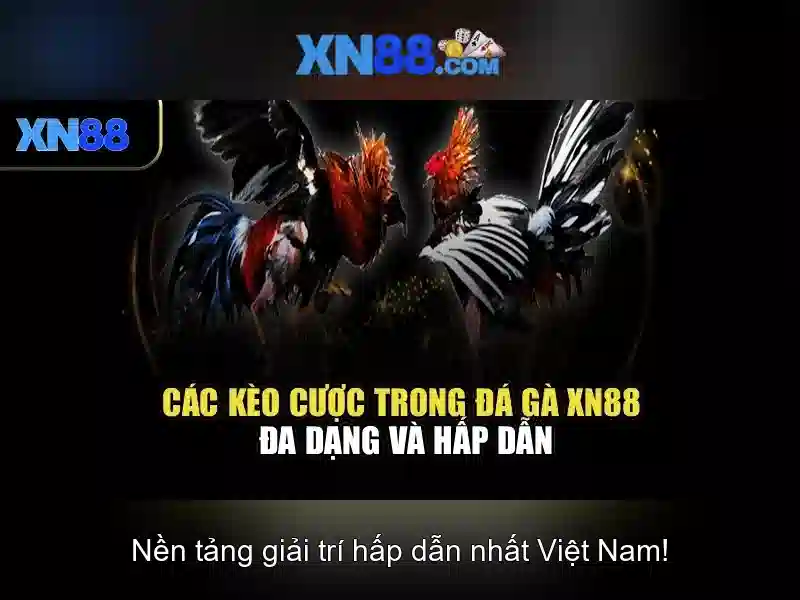 Tải XN88